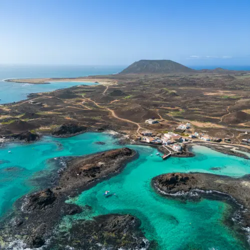 iStock-1480386825lobos puertito_result